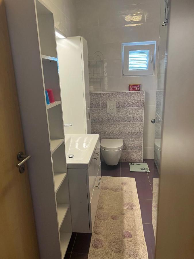 Villa Paludo Novigrad  Extérieur photo